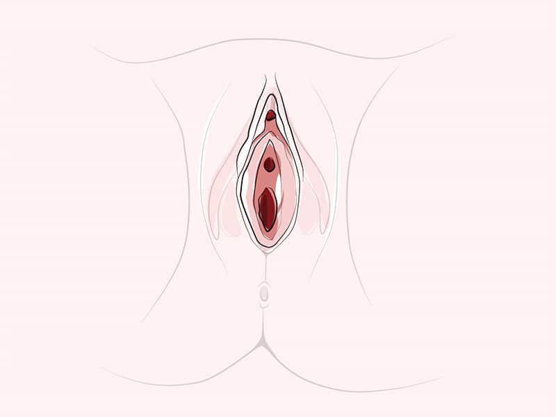 Clitoris very sensitive after orgasm