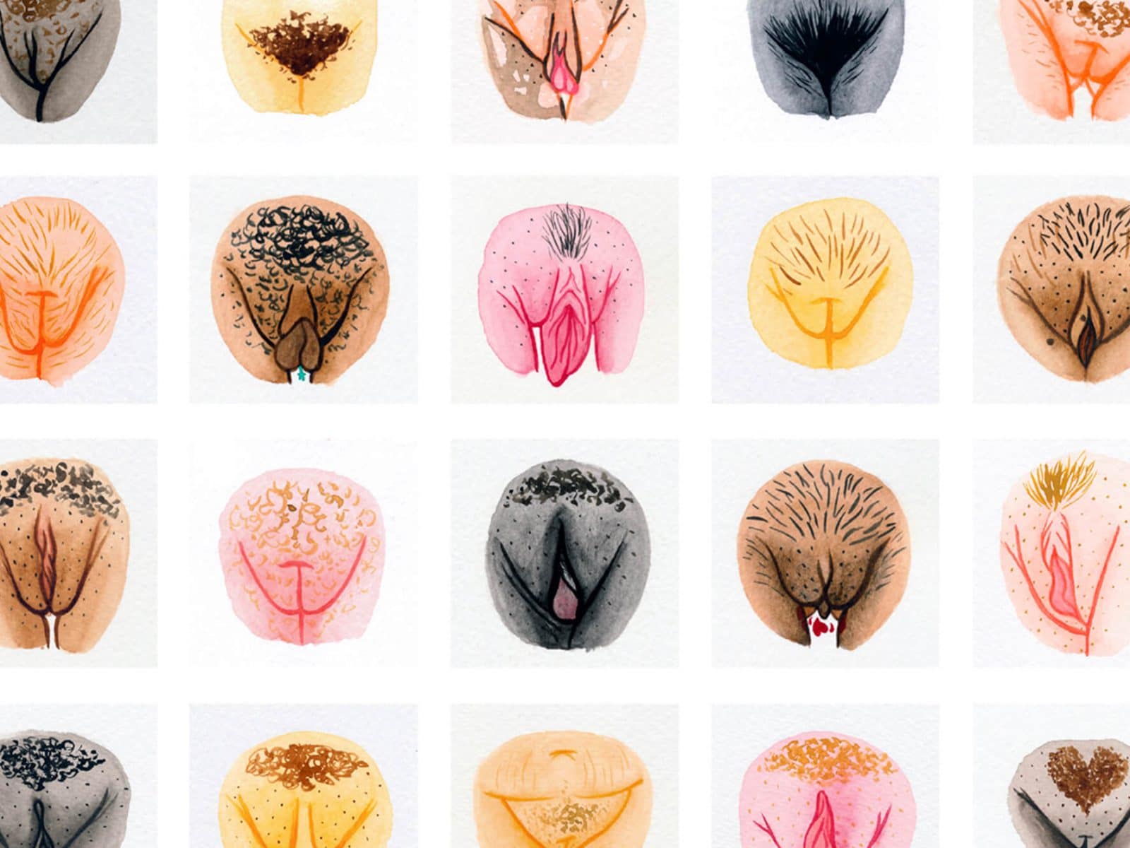 The Vulva Gallery: Every vulva is beautiful - O*Diaries