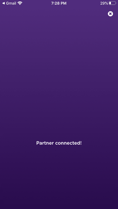 partner_pair_2